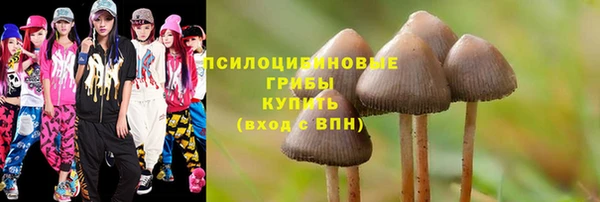 spice Каменка