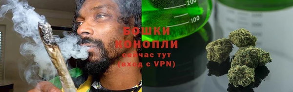spice Каменка