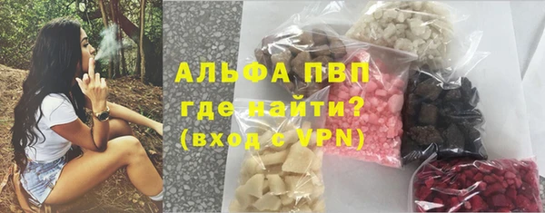 spice Каменка