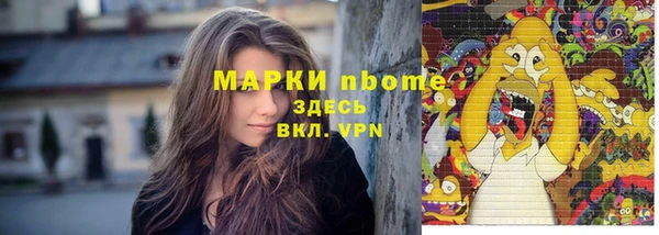 spice Каменка