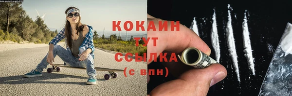 spice Каменка