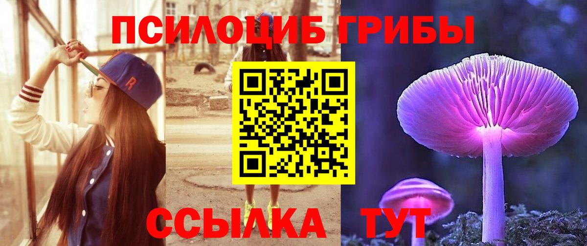 Рыбинск  Галлюциногенные грибы Psilocybe  Вход с VPN 