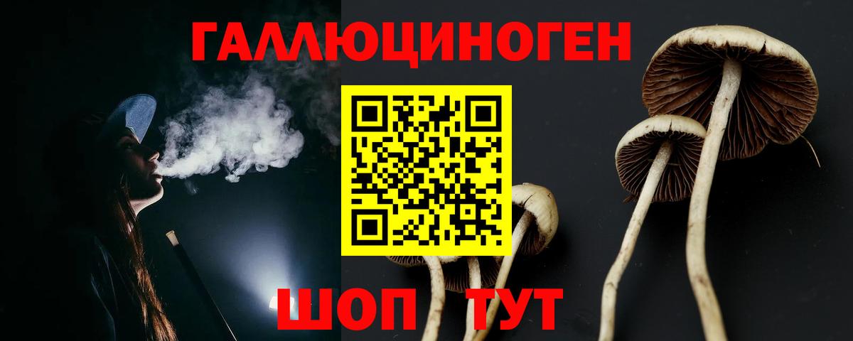 Галлюциногенные грибы прущие грибы  Рыбинск 